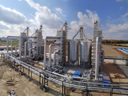 Large intelligent grain drying equipment with 24-hour uninterrupted operation and stable performance.